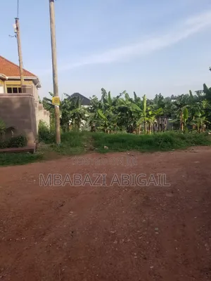 Land and Plots 50/100ft