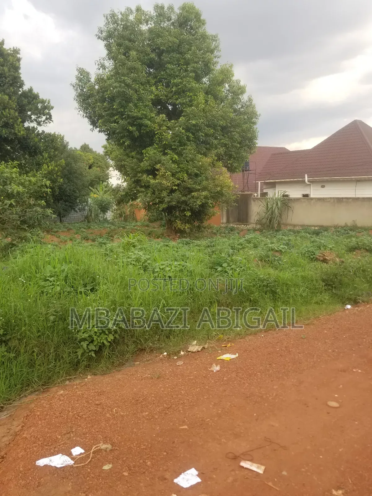 Land and Plots 50/100ft