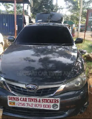 Enis Car Privacy Tints