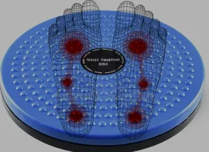 Waist Twisting Disc
