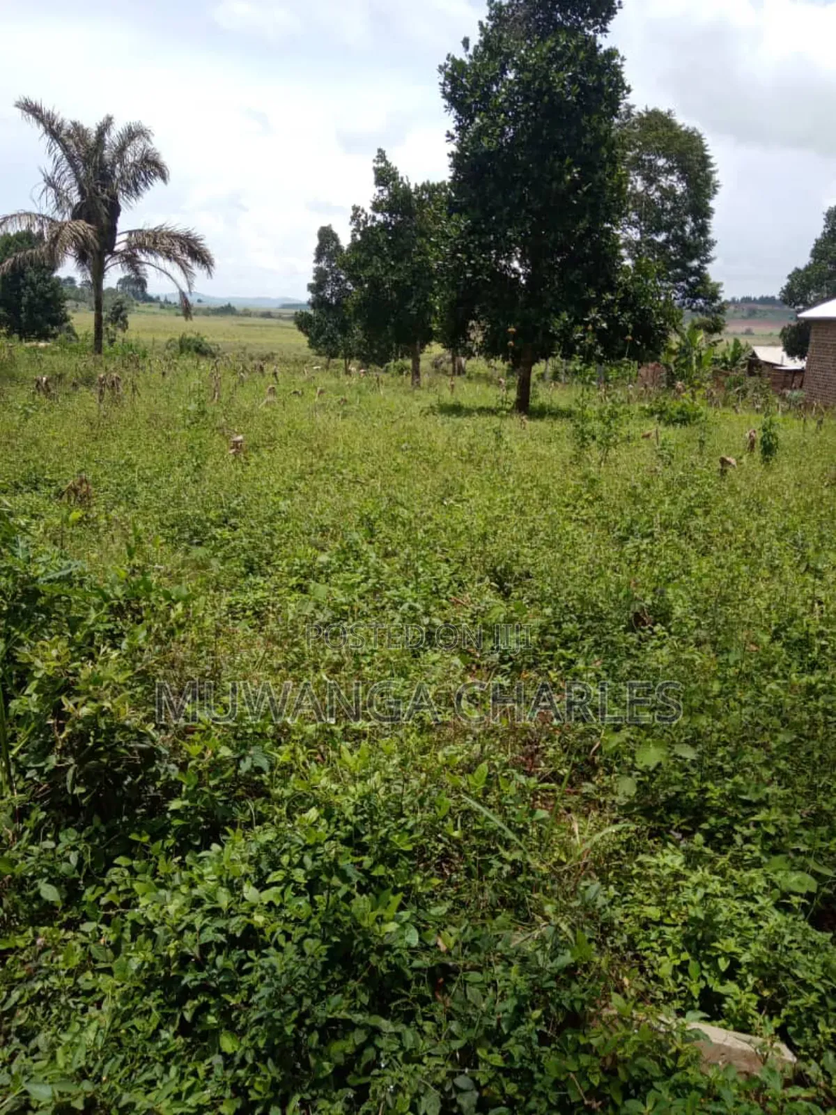 Plot on Sale in Busika Vumba