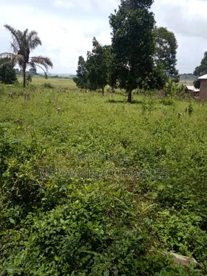 Plot on Sale in Busika Vumba