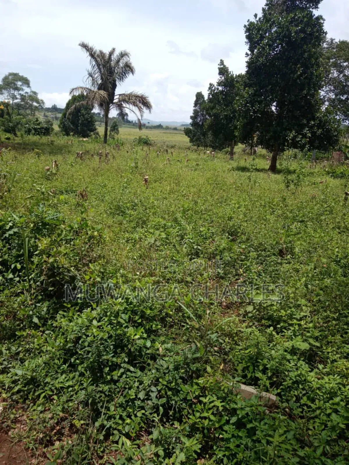 Plot on Sale in Busika Vumba