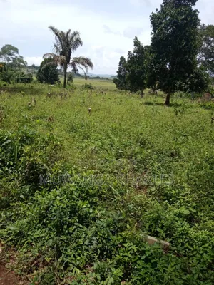 Plot on Sale in Busika Vumba