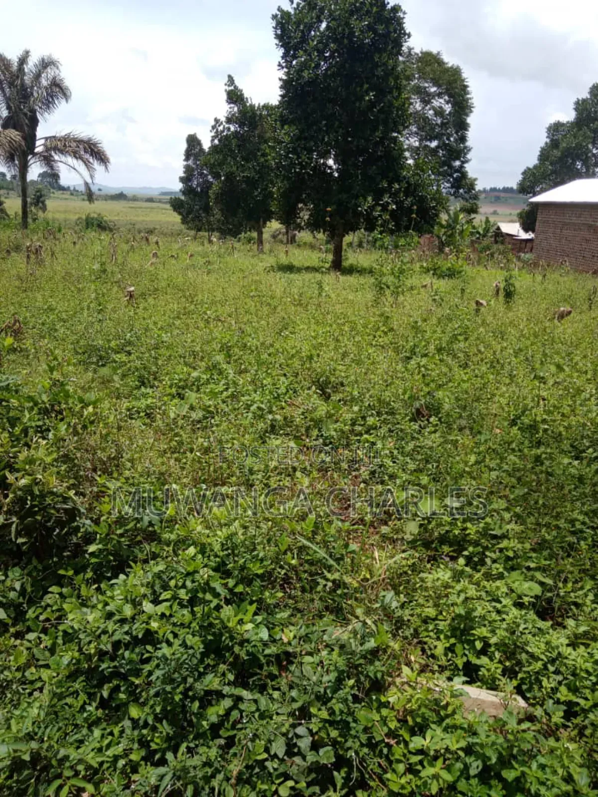 Plot on Sale in Busika Vumba
