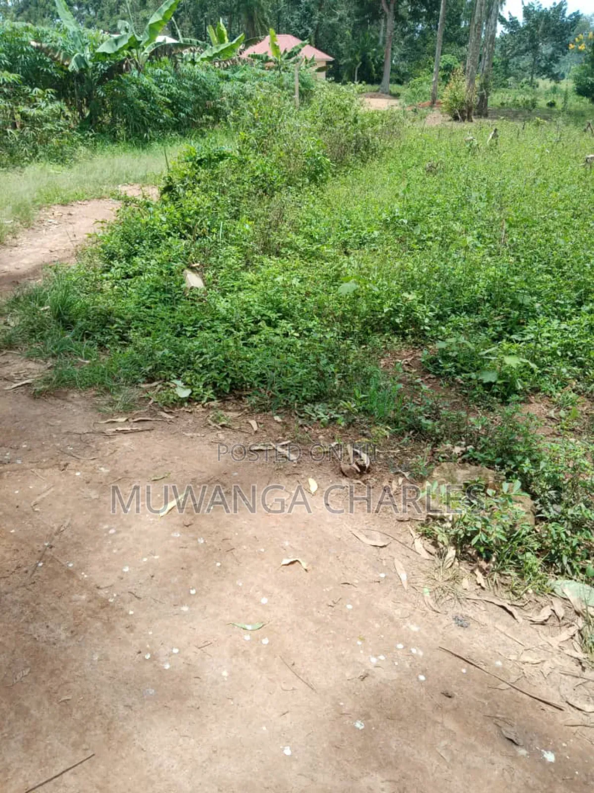 Plot on Sale in Busika Vumba