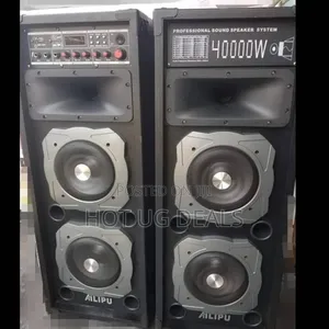 2 Professional Sound Speaker Systems With 2 Wireless Microphones