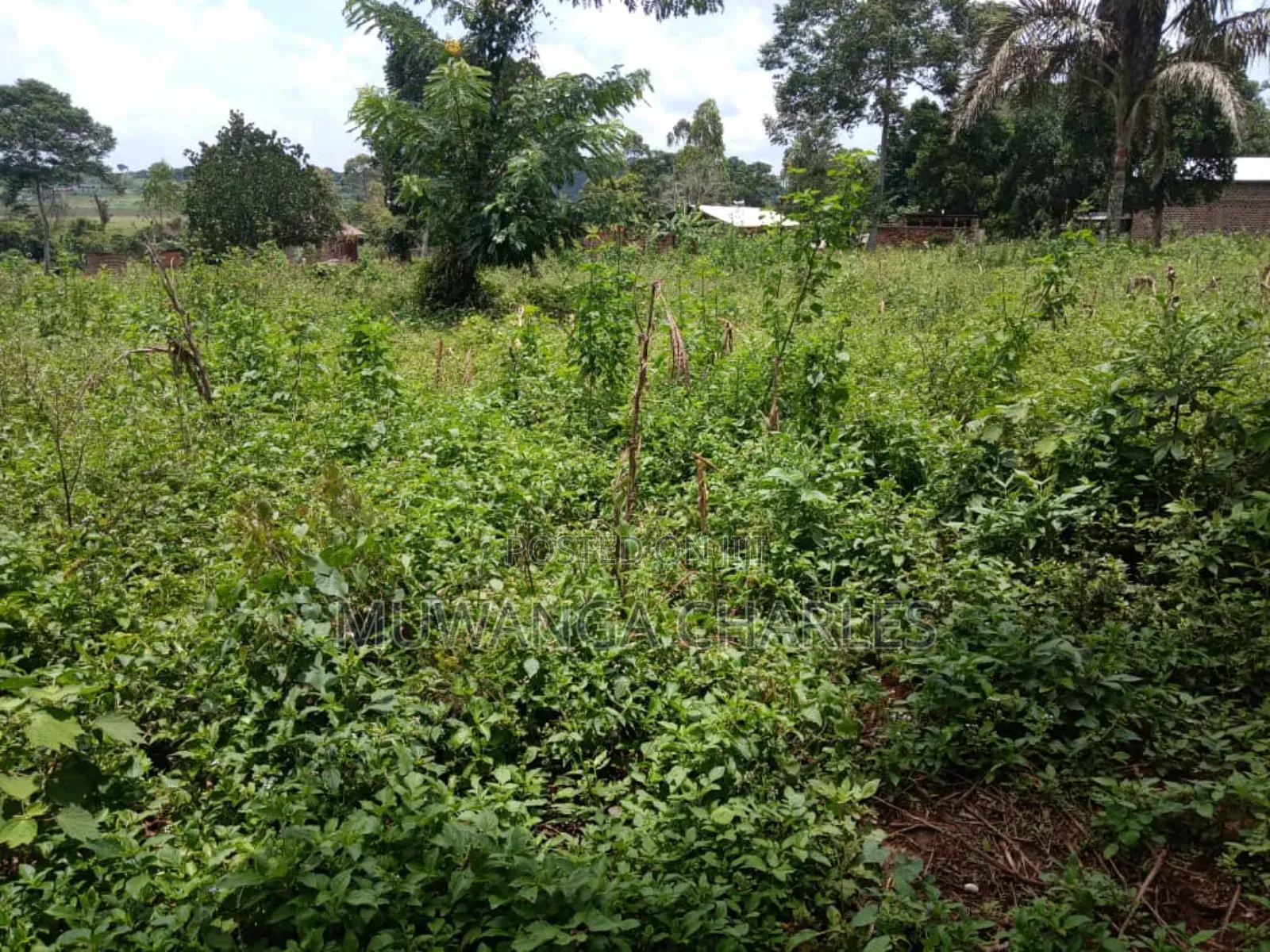 Plots on Sale in Matugga Kavule