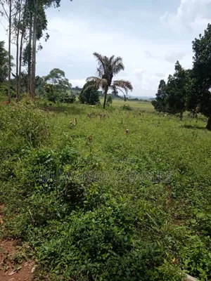 Plots on Sale in Matugga Kavule