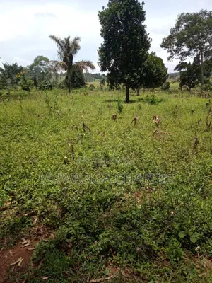 Plots on Sale in Matugga Kavule