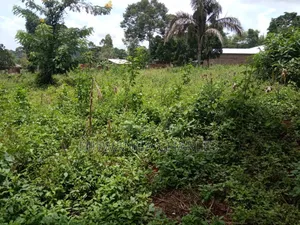 Plots on Sale in Matugga Kavule