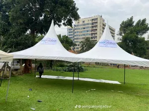 Double Canopy Tent
