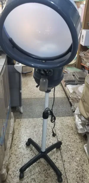 Hair Dryer and Steamer