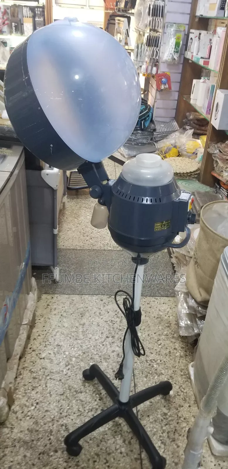 Hair Dryer and Steamer