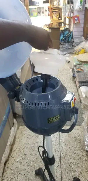 Hair Dryer and Steamer