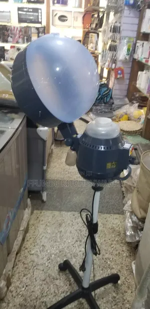 Hair Dryer and Steamer