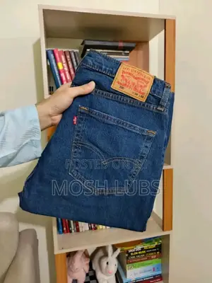 Levis Jean Pants