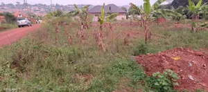 Plot on Sale in Gayaza Masooli