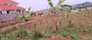 Plot on Sale in Gayaza Masooli