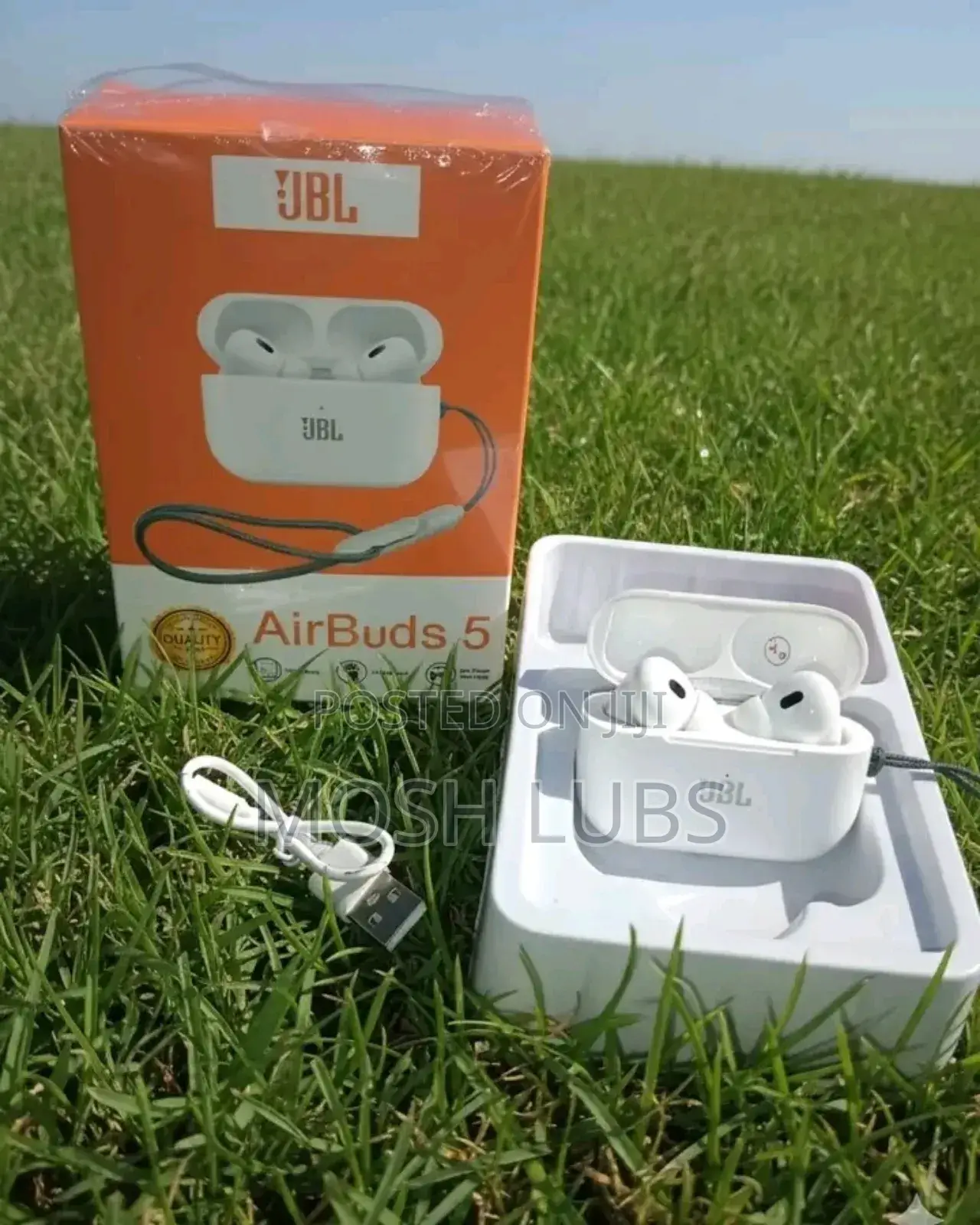 JBL Airbuds-5 Buds
