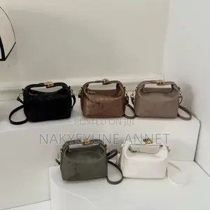 Ladies Hand and Shoulder Bag