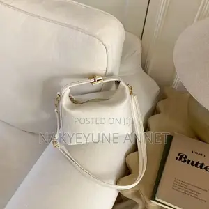 Ladies Hand and Shoulder Bag