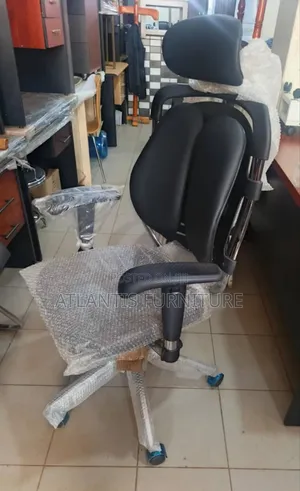 Lungs Chap Orgonomic Original Office Chair