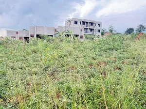 Plots on Sale in Kira Phase 2