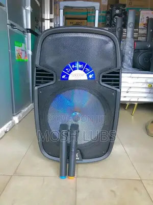 Ailipu Rechargeable Portable Speaker With a Wireless Microphone
