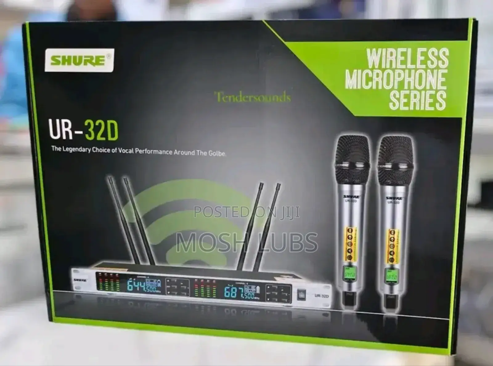 Wireless Microphone System With 2 Mics