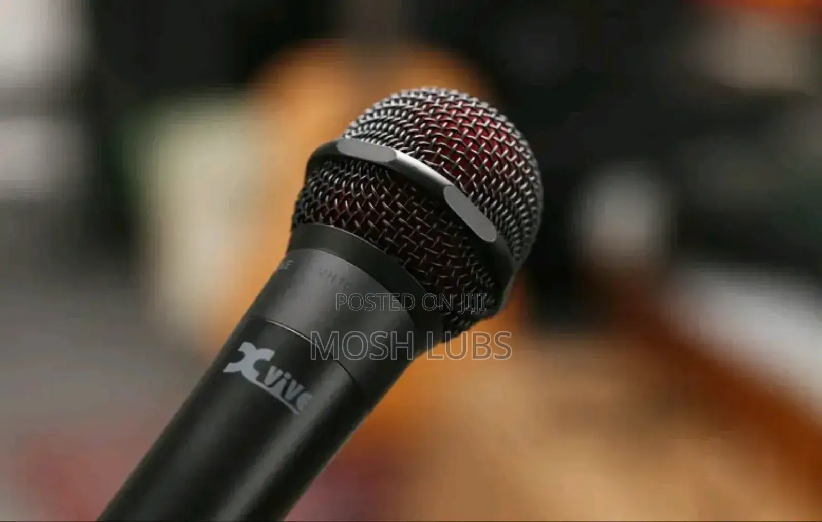 Wireless Microphone System With 2 Mics