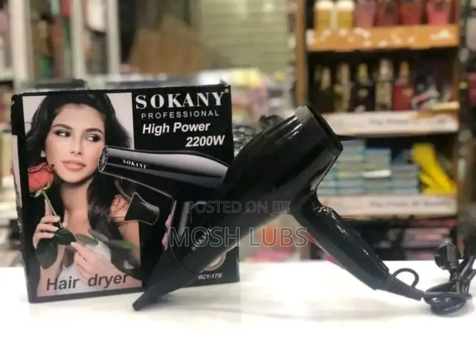Hs-3618 New Portable Handheld Hair Dryer
