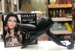 Hs-3618 New Portable Handheld Hair Dryer