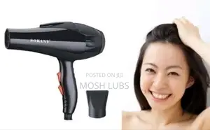 Hs-3618 New Portable Handheld Hair Dryer