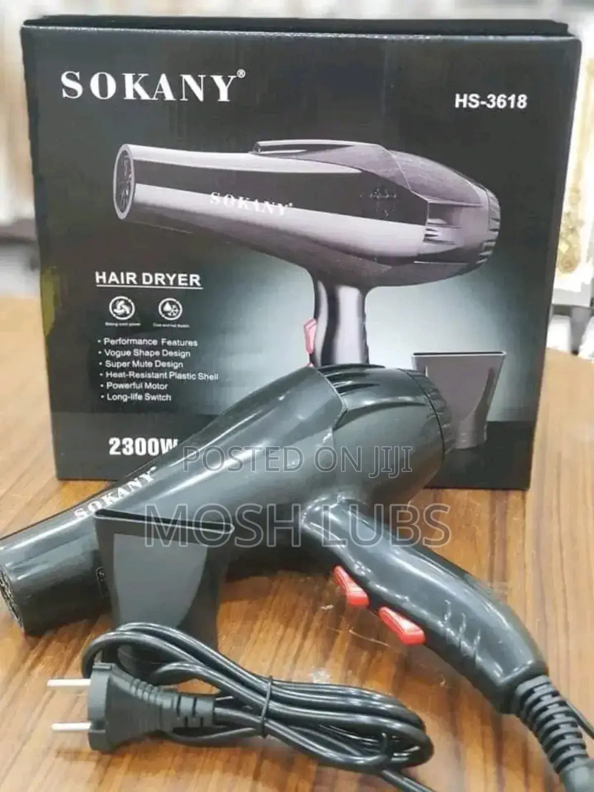 Hs-3618 New Portable Handheld Hair Dryer