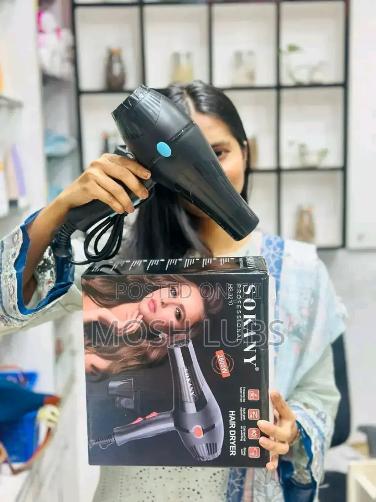 Hs-3618 New Portable Handheld Hair Dryer