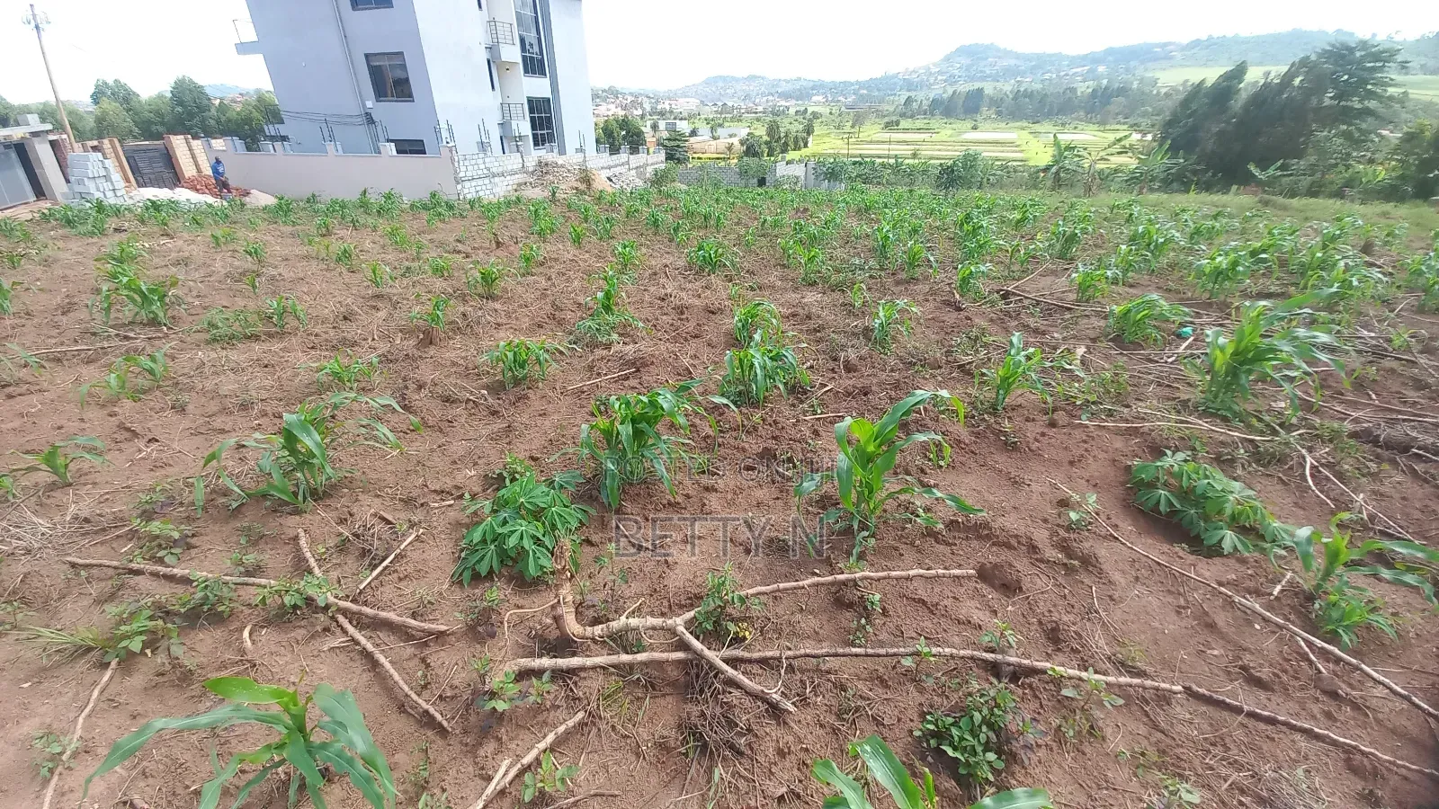 2 Plots of 50x100 for Sale at Kajansi