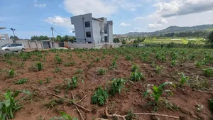 2 Plots of 50x100 for Sale at Kajansi