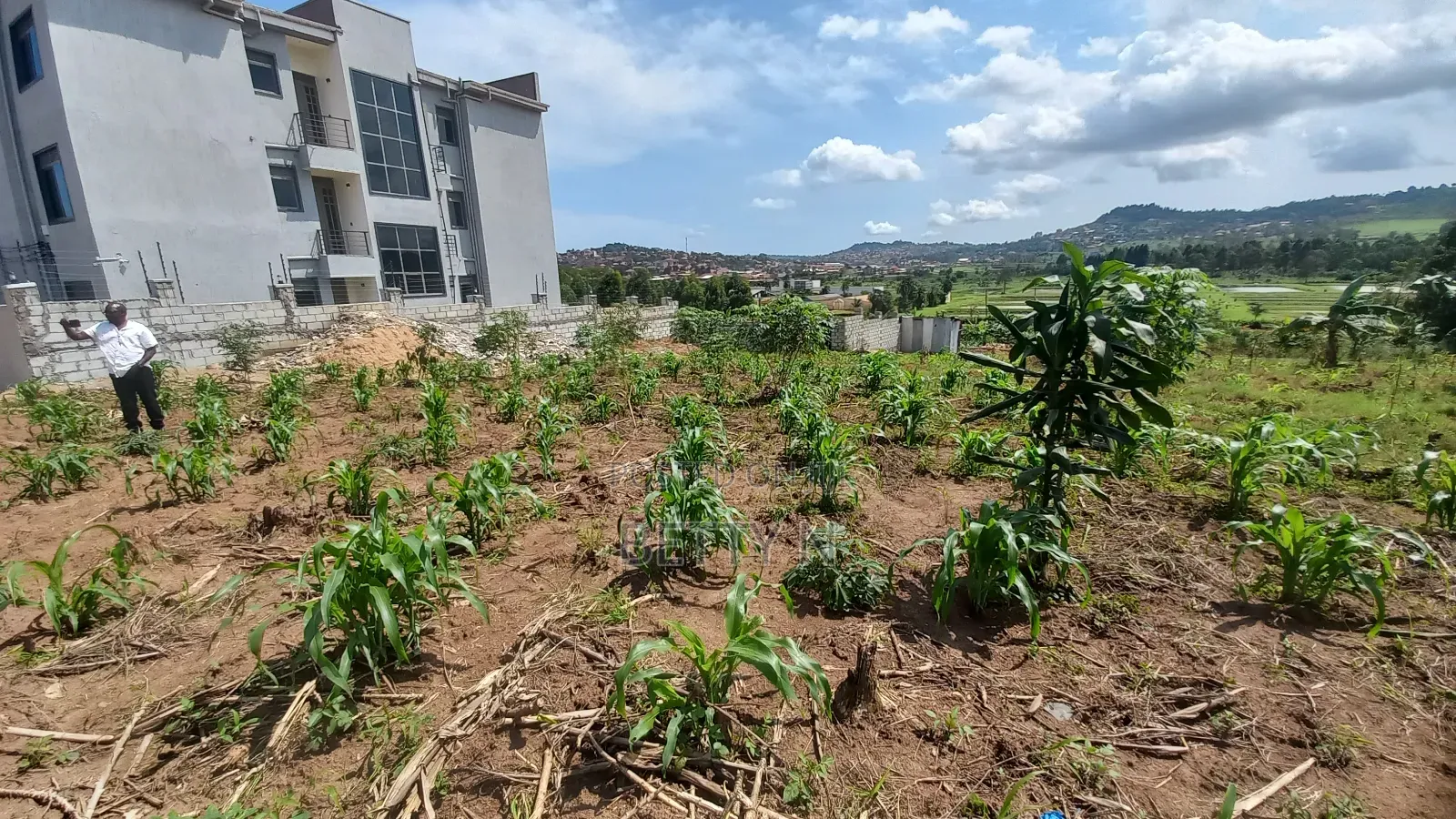 2 Plots of 50x100 for Sale at Kajansi