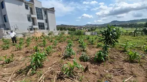 2 Plots of 50x100 for Sale at Kajansi