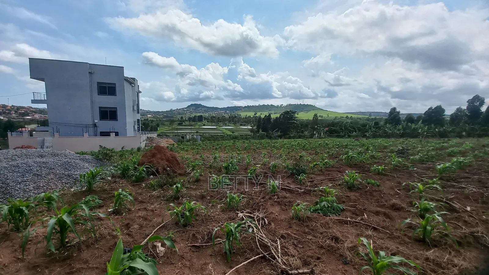 2 Plots of 50x100 for Sale at Kajansi