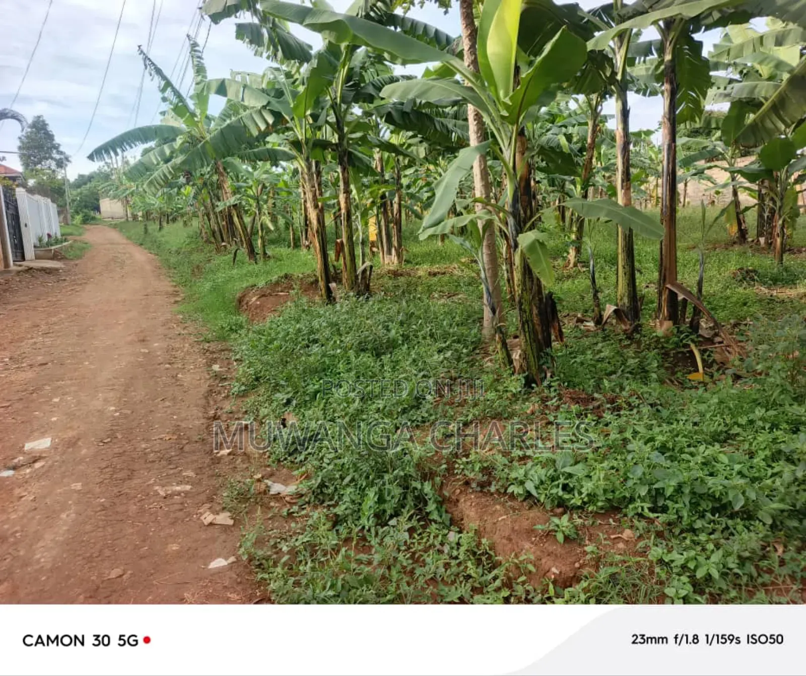 Plots on Sale in Nangabo Jiita
