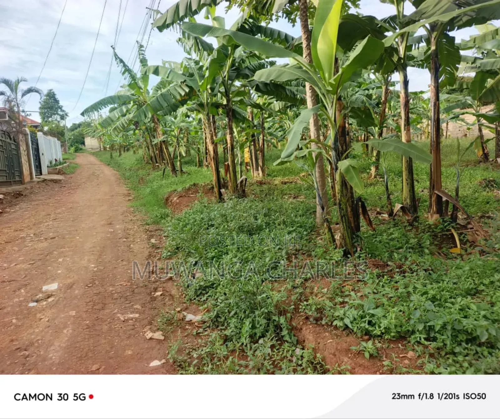 Plots on Sale in Nangabo Jiita