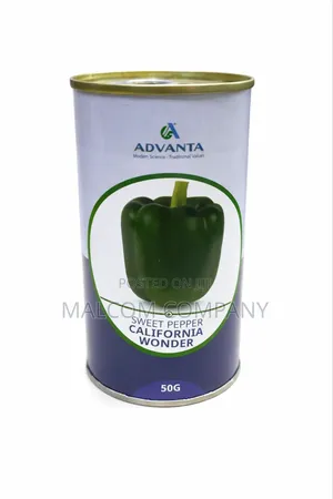 Green Pepper Seeds for Planting 50g