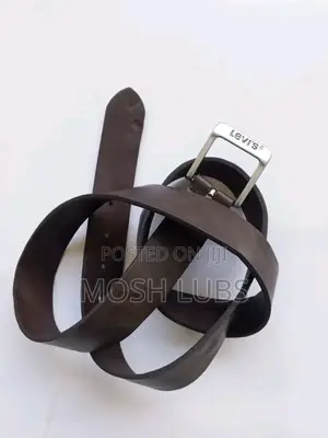 Levis Belts for Men