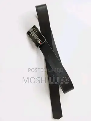 Levis Belts for Men