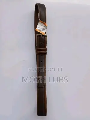 Levis Belts for Men