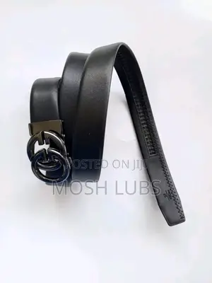 Levis Belts for Men
