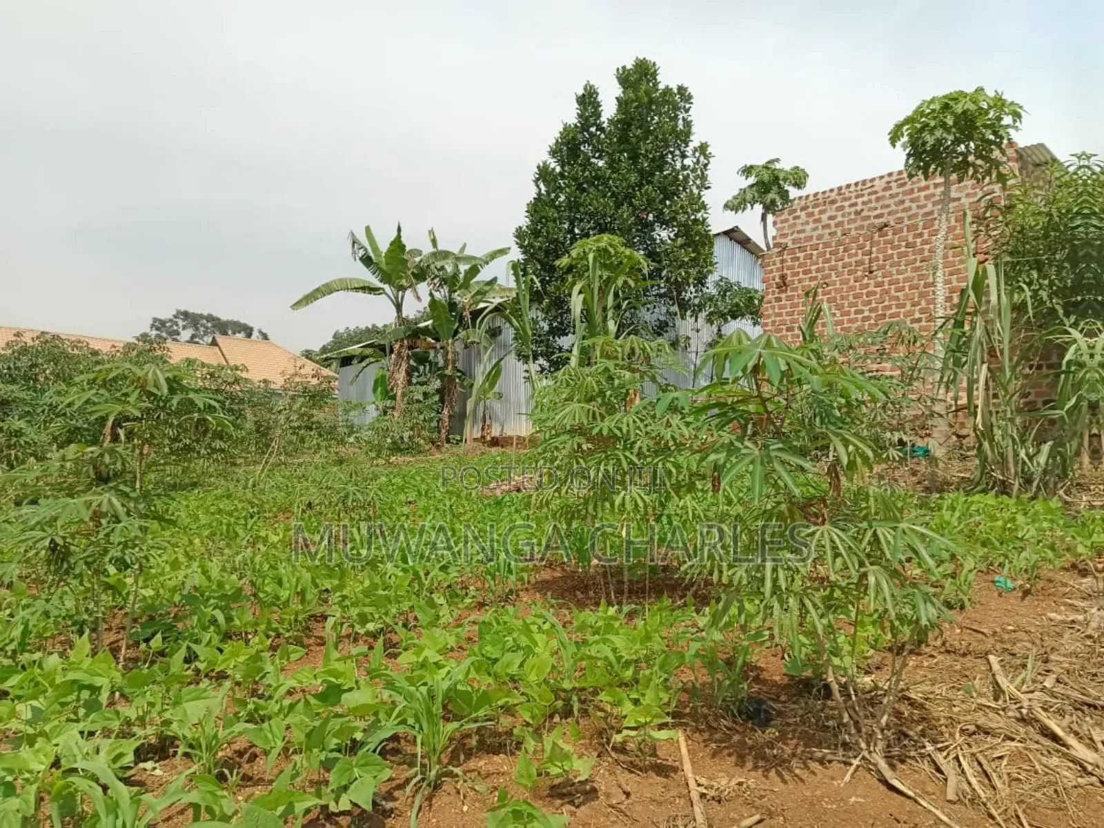 Plots on Sale in Matugga Kigogwa