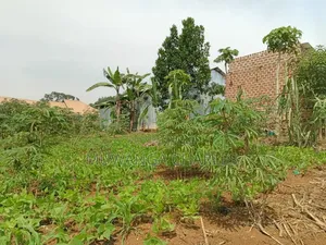 Plots on Sale in Matugga Kigogwa